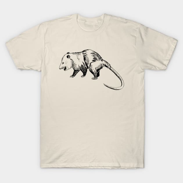 opossum T-Shirt by VicaVeresk